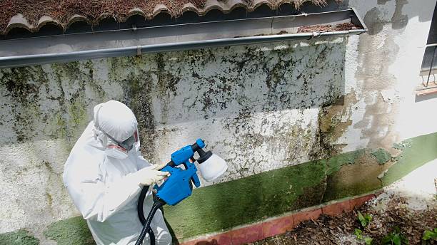 Trusted Commercial Mold Remediation service in Toughkenamon, PA - Cheap Mold Removal